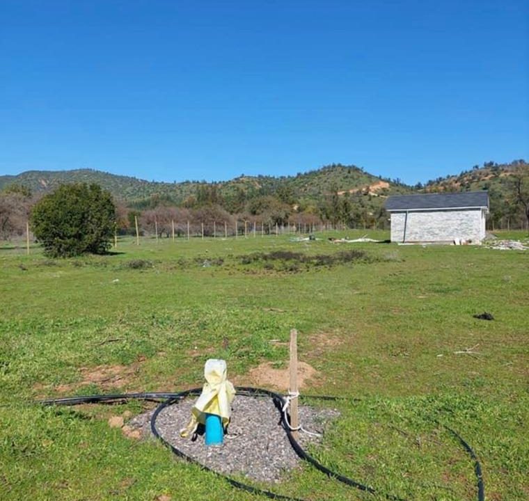 WhatsApp Image 2024-02-13 at 09.40.26 (4)